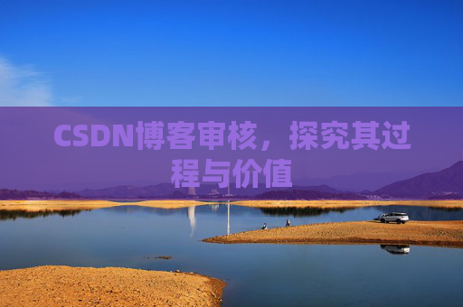 CSDN博客审核，探究其过程与价值