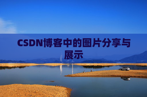 CSDN博客中的图片分享与展示